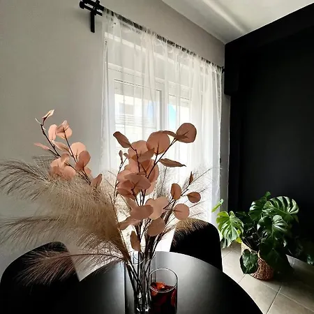 Apartment Downtown