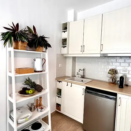 Downtown Apartment